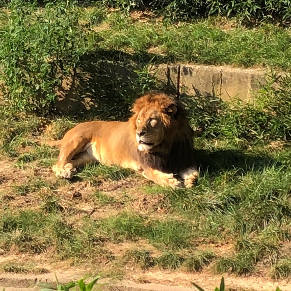 Meet your Posher, Jen